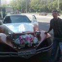  ,   Lion, 36 ,  