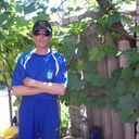  ,   , 53 ,  