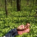 ���������� �����, ���� ������� ����, 36 ���, ������������ ��� ������, ����� � ���������, c�������� ���������