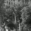  ,   Mekha, 31 ,   ,   , c 