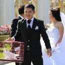 ���������� ������, ���� ������� ����, 37 ���, ������������ ��� ������, ����� � ���������, c�������� ���������