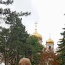  --,   , 59 ,   ,   , c 