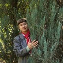 ���������� ���, ���� ������� ����, 53 ����, ������������ ��� ����� � ���������, c�������� ���������