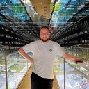 ���������� ������, ���� ������� �������, 33 ����, ������������ ��� ������, ����� � ���������, c�������� ���������