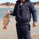 ���������� ����-����, ���� ������� ����, 46 ���, ������������ ��� ������, ���������