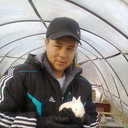 ���������� ���������, ���� ������� �������, 43 ����, ������������ ��� ����� � ���������, c�������� ���������