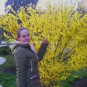 ���������� ������, ���� ������� �����, 33 ����, ������������ ��� ����� � ���������, c�������� ���������