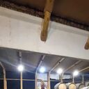  ,   , 35 ,   ,   , c , 