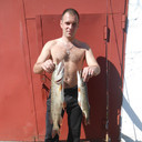 ���������� �������, ���� ������� �����, 38 ���, ������������ 