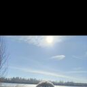 ���������� ������, ���� ������� �������, 46 ���, ������������ ��� ����� � ���������, c�������� ���������, ���������