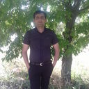 ���������� ����, ���� ������� Edik, 40 ���, ������������ 