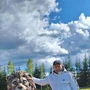  ,   , 41 ,   