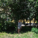 ���������� �����������, ���� ������� ��������, 54 ����, ������������ ��� ������, ����� � ���������, c�������� ���������