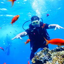 ���������� ��������, ���� ������� ���� �������, 38 ���, ������������ ��� ������, ����� � ���������