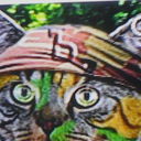  ,   , 55 ,   ,   , c 