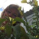  ,   , 56 ,     , c 