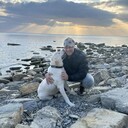  ,   PoZitiFF, 42 ,   ,   , c 