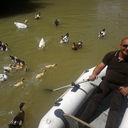  ,   ROMAN, 49 ,   ,   , c , 