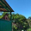 ���������� �����������, ���� ������� ������, 35 ���, ������������ ��� ������, ����� � ���������