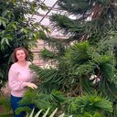 ���������� ���������, ���� ������� ������, 53 ����, ������������ ��� ����� � ���������, c�������� ���������, ���������