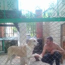 ���������� ������, ���� ������� ���������, 51 ���, ������������ ��� ����� � ���������, c�������� ���������