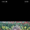  ,   , 48 ,   ,   