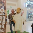  ,   , 54 ,   c 