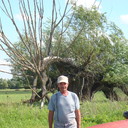 ���������� ��������, ���� ������� ����, 71 ���, ������������ ��� ������