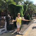 ���������� ���������, ���� ������� �������, 55 ���, ������������ ��� c�������� ���������