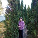  ,   , 64 ,   c 