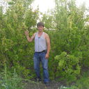  ,   Ahtoh, 32 ,     , c 