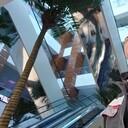 ���������� ��������, ���� ������� Nikita, 32 ����, ������������ ��� ������, ���������