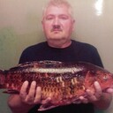  ,   , 59 ,  