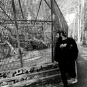 ���������� �����������, ���� ������� Farukh, 34 ����, ������������ ��� ������, ����� � ���������, c�������� ���������, ���������