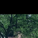 ���������� �������, ���� ������� ���, 34 ����, ������������ ��� ������, ����� � ���������