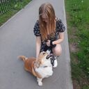 ���������� �������, ���� ������� ���������, 23 ����, ������������ ��� ������, ����� � ���������