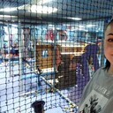 ���������� ������, ���� ������� ����, 37 ���, ������������ ��� ������, ����� � ���������