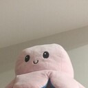 ���������� �����������, ���� ����� Denis, 25 ���, ������������ ��� ������