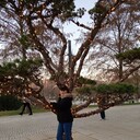 ���������� ������, ���� ������� �����, 84 ����, ������������ ��� ������, ����� � ���������