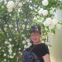 ���������� �������, ���� ������� �����, 48 ���, ������������ ��� ������, ����� � ���������, c�������� ���������