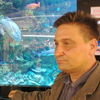  ,   , 55 ,     , c 