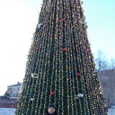 ���������� ���������, ���� ������� ������, 47 ���, ������������ 