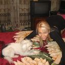 ���������� �������, ���� ������� �������, 31 ���, ������������ ��� ������