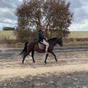 ���������� �����, ���� ������� ����, 28 ���, ������������ 