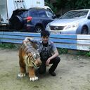 ���������� ����, ���� ������� Daler, 101 ���, ������������ ��� ����� � ���������