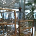 ���������� �����-���������, ���� ������� �������, 35 ���, ������������ ��� ������, ����� � ���������