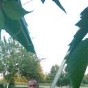  ,   , 60 ,   