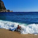   ,   , 33 ,   ,   , c 