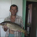  ,   Koss, 79 ,   ,   , c 