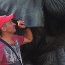 ���������� ��������, ���� ������� �����, 48 ���, ������������ ��� ������, ����� � ���������, c�������� ���������